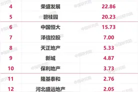 2021年1-6月沧州市房地产企业销售业绩排行榜图片