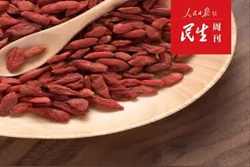 宁夏枸杞别样红！科技助力枸杞“七十二变”图片