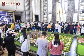 历史性一天！20秒狂揽8亿！昨晚，徐州这家新盘首开，394套秒光图片