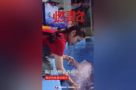 海洋动物驯养师许咏琪：最好的热爱叫陪伴图片