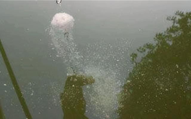 夜钓鲢鳙晚上什么时候最佳时间（夜钓鲢鳙做到这几点）