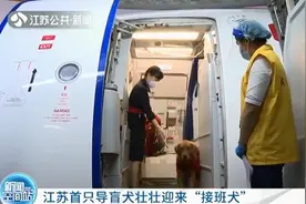 江苏首只导盲犬壮壮迎来“接班犬”仍和原来主人在一起图片