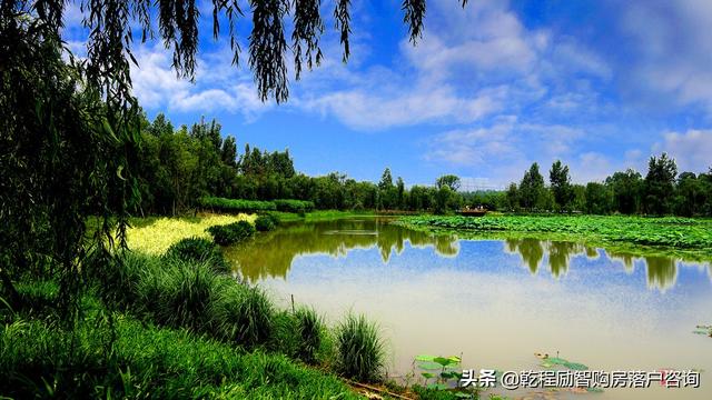 无学历，无技能证书如何落户成都