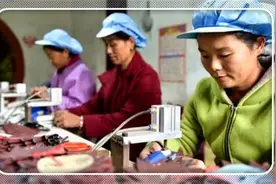 50岁的人想在农村搞个小作坊，现有哪些好项目？推荐一下图片