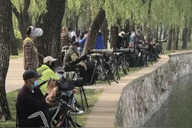 五一颐和园偶遇北京摄影大爷团，高级长焦炮筒好专业，只能羡慕图片