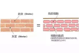 【干货分享】如何提高皮肤自我修复能力？图片