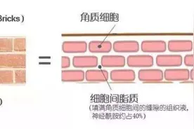 【干货分享】如何提高皮肤自我修复能力？图片