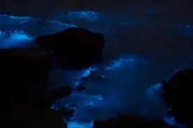 荧光海浪如有星辰坠入，广东珠海出现海洋“蓝眼泪”图片