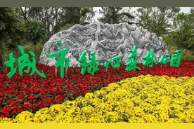 城市绿心森林公园怎么去？这些公交路线为您规划好了！图片