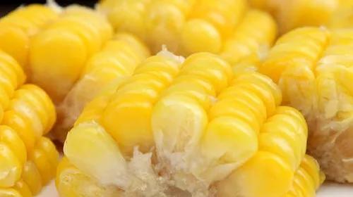 鳄鱼炖花胶功效与作用 2026年鳄鱼炖花胶功效与作用