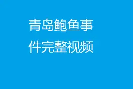 青岛鲍鱼事件经过梳理（含完整视频），不管如何我还是热爱青岛图片