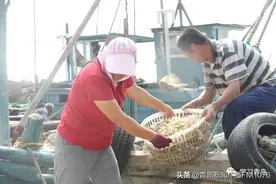 开海，青岛人的海味狂欢图片