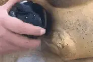 每天笑不停：左边还是右边？图片