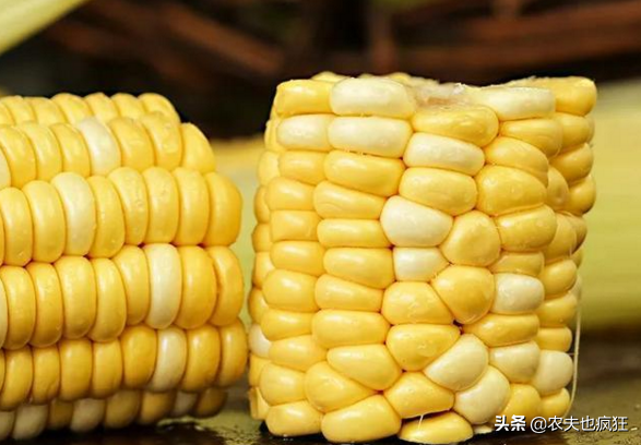 熟吃是粗粮，生吃是水果，比西瓜甜，1斤5元，却被质疑是转基因