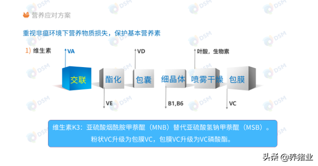 李曼大会听课笔记连载（二）（母猪营养、生长速度、应激、无抗）