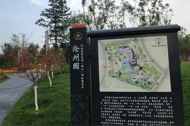 唐山东湖花海北区随拍图片