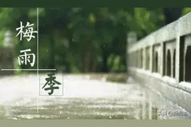暴力梅！商场塌顶，熊猫翻滚！上海白昼黑如夜，晚上还没完…图片