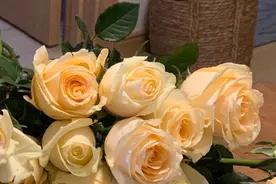 难得一遇的星座情侣，缘分很深，白头到老的概率很大图片