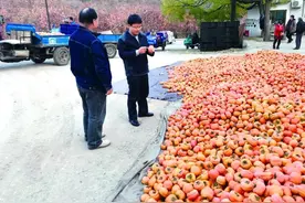 审计说|脱贫攻坚  春风送暖伊祁山——审计署定点扶贫河北省顺平县工作纪实图片