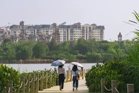 深圳豪宅保姆：鸡娃，婚变，破产——我看见有钱人的百态千面图片