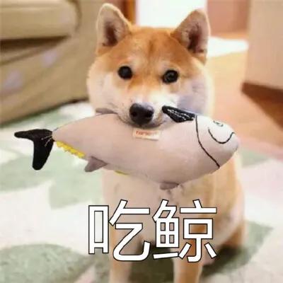 һֻҪǮ