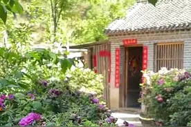 《岁月如歌》之 大嫂～~妈（一）图片