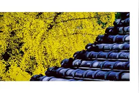 静心的最大“好处”，就是“临在当下”图片