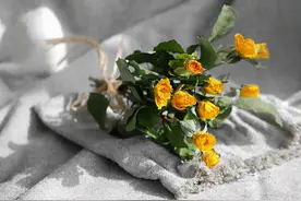 女人在微信上给你发两个字，是在暗示她想你了图片