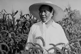 毛泽东一封直达生产小队的信，见证了他扭转农业危局的急迫心情图片