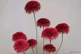 我可以很爱你，也可以放弃你图片