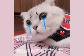 最新热门表情包动图片：撤回看个锤子图片