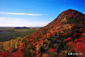 「原创」京城好个秋（一）青山一脉舞彩绸，层林尽染秋意浓图片