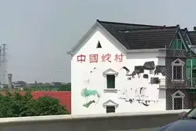 世界第一蛇村在中国：有近300万条蛇陪着村民，小偷都不敢进村图片