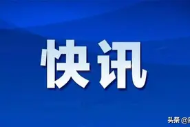 新野县应急运输通行证办理使用指南图片