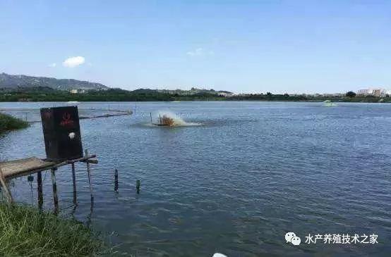 诱食剂在水产养殖中的应用