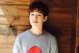 刘宪华的小提琴和钢琴演奏水平到底是怎样的？图片