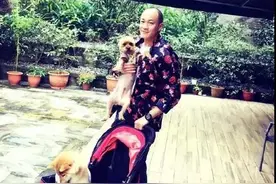 婚后放纵，43岁何润东头秃变油腻男，健身人设崩塌？一派胡言图片