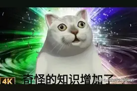 睾丸理论是什么？奇怪的知识又增加了图片