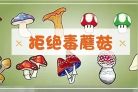 【建阳区水东幼儿园】珍爱生命，远离毒菇——警惕误食野生蘑菇中毒图片