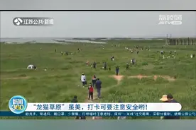 南京版“龙猫草原”虽美，打卡要注意安全！栈桥属危桥，禁止入内图片