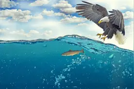 过于专注做事的人，容易忽略全局图片