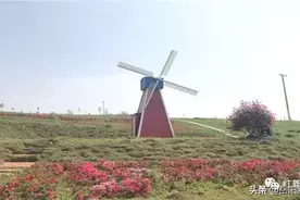 五一小长假让我们相约汨罗西长四季花海！图片