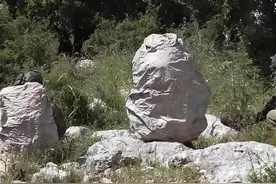 彪悍高科技，以色列隐身衣让你随处藏身图片