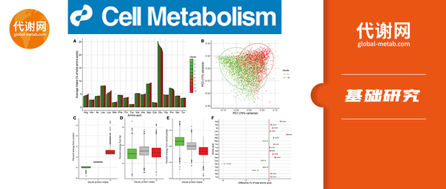 素食者与肉食者蛋白摄入：总蛋白量而非氨基酸组成决定代谢健康
