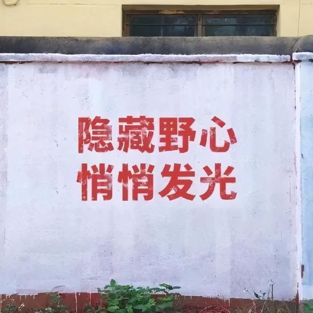 朋友圈背景图 | 个性、沙雕、励志文字控