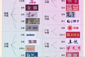 中国烟草：一家政企合一的巨型航母，绝非小微企业那么简单图片