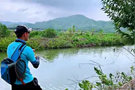 蓝微物Vlog | 微物作钓海鲢，毒眼遭遇超猛洗鳃图片