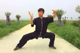丹田功验证着太极拳功夫架图片