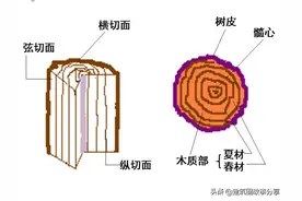 建筑圈木工知道这些吗？还需深入了解图片