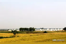 农村土地要统一耕种，小农户怎么办？两种选择，大小农业做引领图片